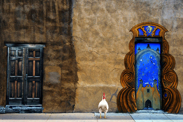 Chicken Little