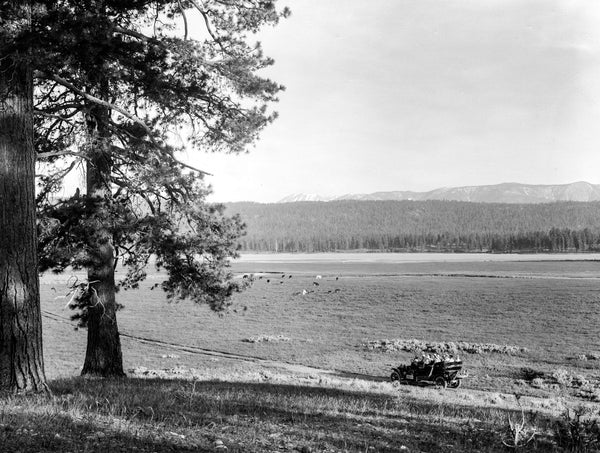 Big Bear Stage Tourist Car - 1910