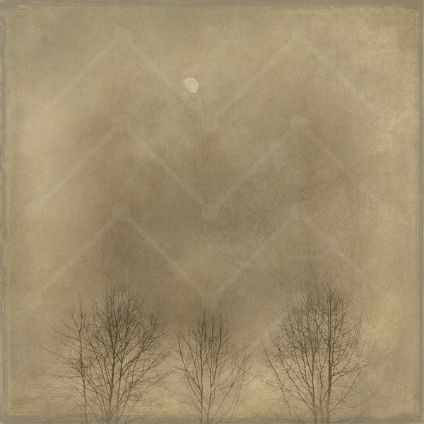 Moon Over Three