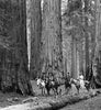Riders - 1910