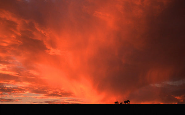 Malawi Dawn