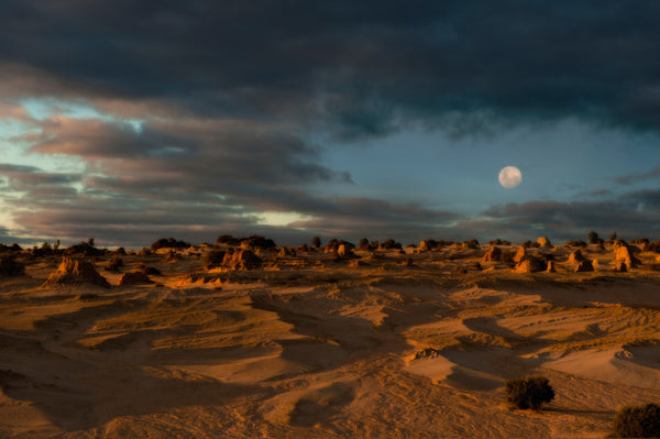 Mungo Moon